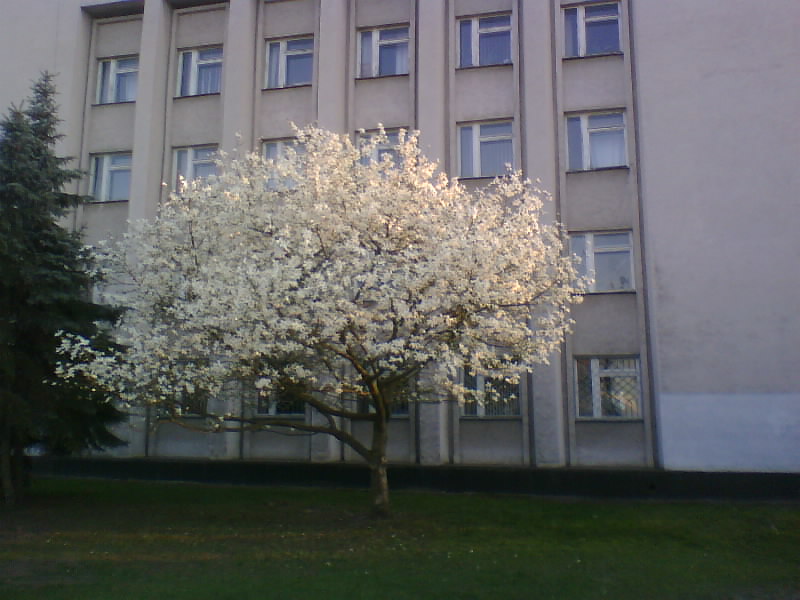 http://upforme.ru/uploads/0010/2b/7f/5/994920.jpg