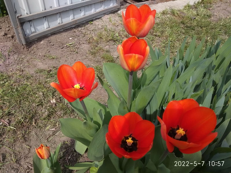 http://upforme.ru/uploads/0010/2b/7f/6/143527.jpg
