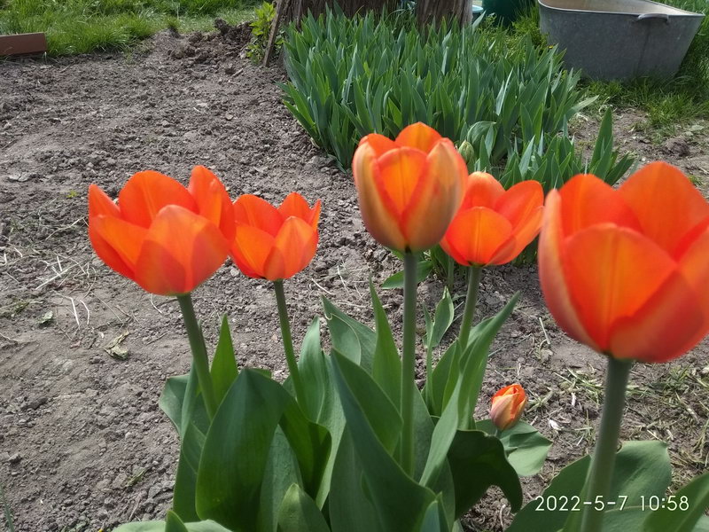 http://upforme.ru/uploads/0010/2b/7f/6/524766.jpg