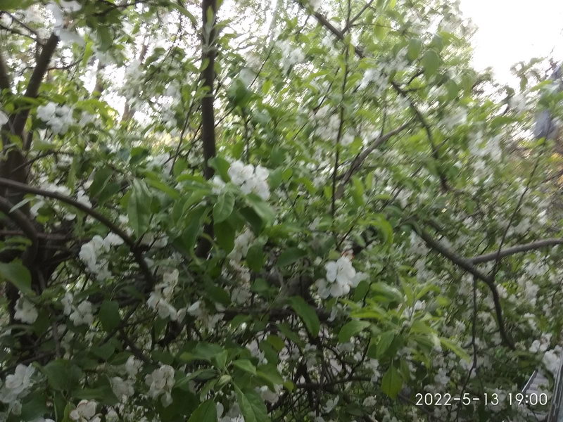 http://upforme.ru/uploads/0010/2b/7f/6/685329.jpg