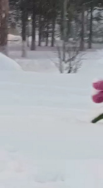 http://upforme.ru/uploads/0010/2b/7f/6/957495.jpg