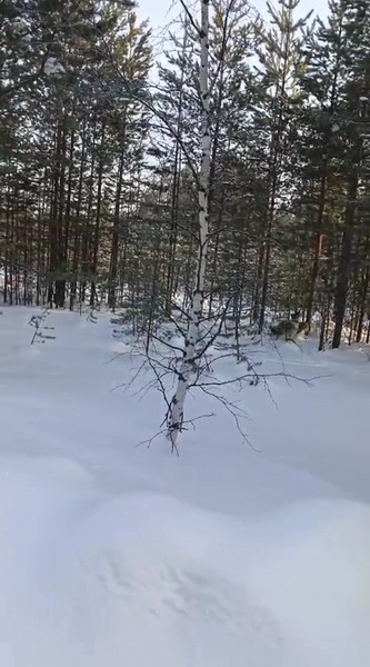 http://upforme.ru/uploads/0010/2b/7f/7/218920.jpg