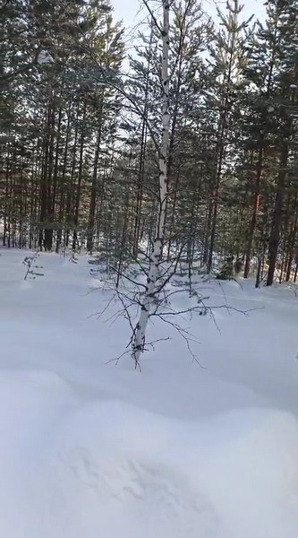 http://upforme.ru/uploads/0010/2b/7f/7/341860.jpg