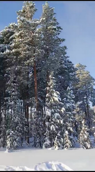 http://upforme.ru/uploads/0010/2b/7f/7/469922.jpg