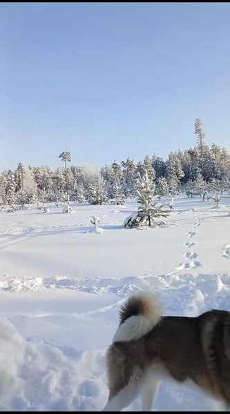 http://upforme.ru/uploads/0010/2b/7f/7/518919.jpg