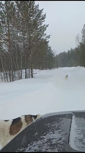 http://upforme.ru/uploads/0010/2b/7f/7/588798.jpg