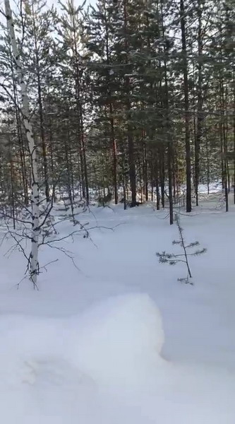 http://upforme.ru/uploads/0010/2b/7f/7/762246.jpg