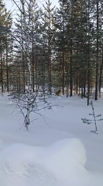 http://upforme.ru/uploads/0010/2b/7f/7/815558.jpg