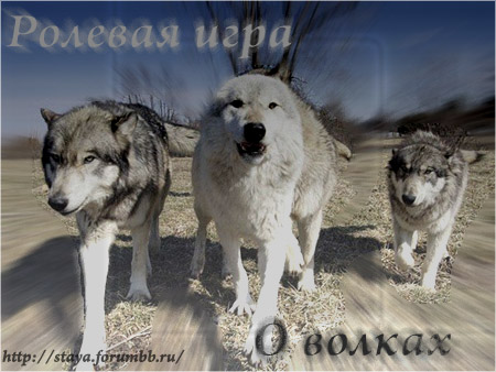 http://upforme.ru/uploads/0010/39/ff/133-1-f.jpg
