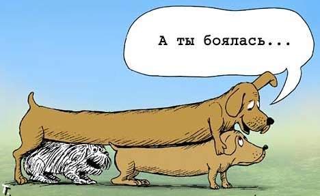 http://upforme.ru/uploads/0010/3a/2c/6/t13870.jpg