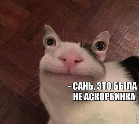 http://upforme.ru/uploads/0010/3a/2c/6/t203029.jpg