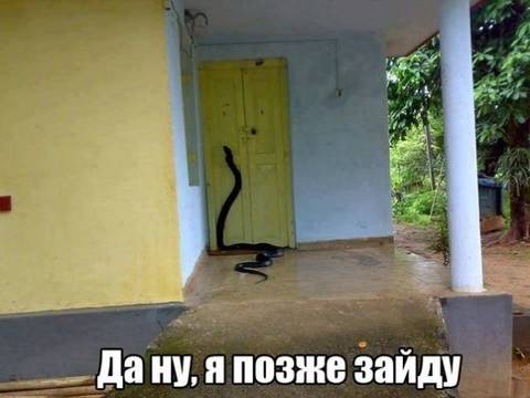 http://upforme.ru/uploads/0010/3a/2c/6/t23322.jpg