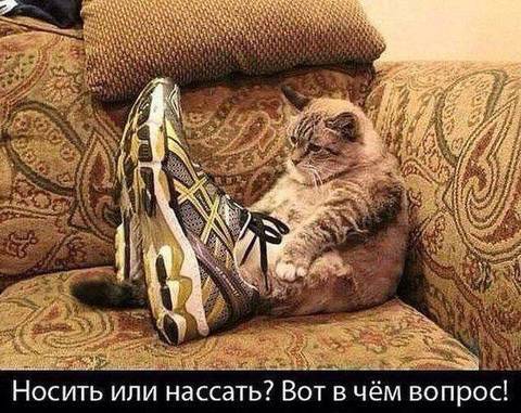 http://upforme.ru/uploads/0010/3a/2c/6/t28518.jpg