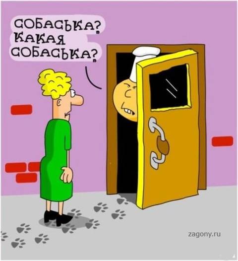 http://upforme.ru/uploads/0010/3a/2c/6/t37083.jpg