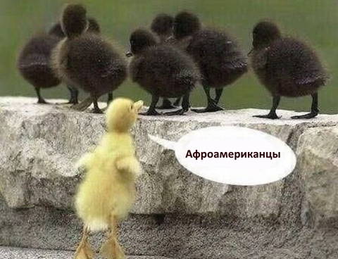 http://upforme.ru/uploads/0010/3a/2c/6/t41299.jpg