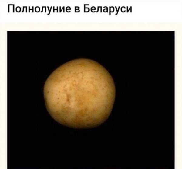 http://upforme.ru/uploads/0010/3a/2c/6/t48452.jpg