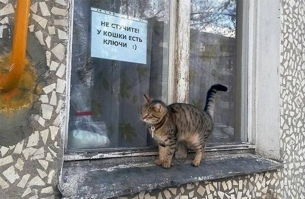 http://upforme.ru/uploads/0010/3a/2c/6/t61192.jpg