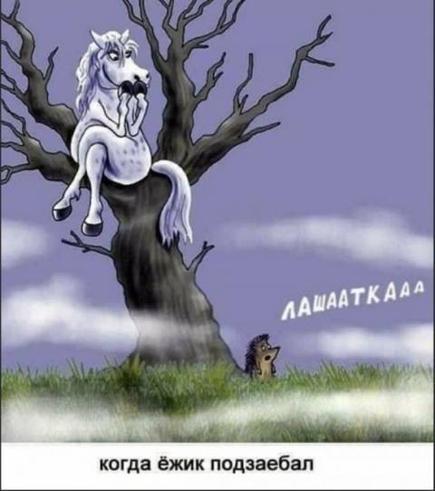 http://upforme.ru/uploads/0010/3a/2c/6/t72514.jpg