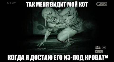 http://upforme.ru/uploads/0010/3a/2c/6/t84904.jpg