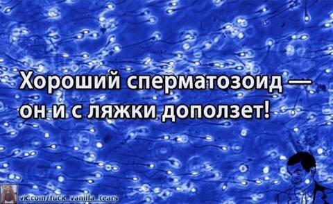 http://upforme.ru/uploads/0010/3a/2c/6/t863637.jpg