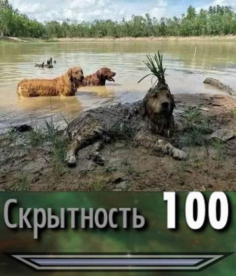 http://upforme.ru/uploads/0010/3a/2c/6/t96342.jpg