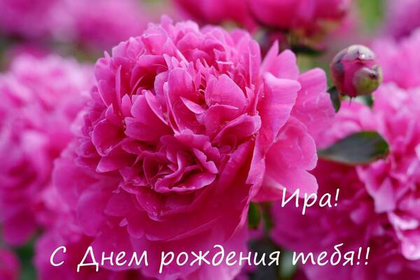 http://upforme.ru/uploads/0010/54/6f/1293/t810493.jpg
