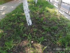 http://upforme.ru/uploads/0010/54/6f/2168/t101430.jpg