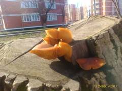 http://upforme.ru/uploads/0010/54/6f/2168/t78859.jpg