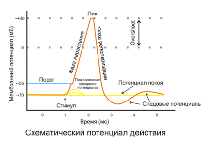 http://upforme.ru/uploads/0010/6a/f9/2/100308.png