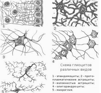 http://upforme.ru/uploads/0010/6a/f9/2/153744.png