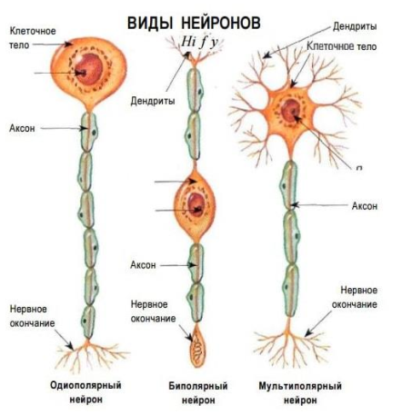 http://upforme.ru/uploads/0010/6a/f9/2/165298.png