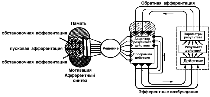 http://upforme.ru/uploads/0010/6a/f9/2/219019.png
