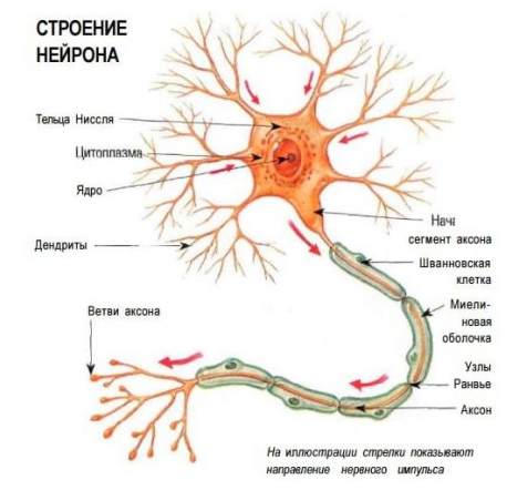 http://upforme.ru/uploads/0010/6a/f9/2/250396.png