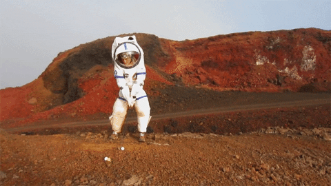 http://upforme.ru/uploads/0010/6a/f9/2/458036.gif