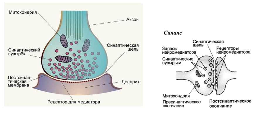 http://upforme.ru/uploads/0010/6a/f9/2/703804.png