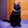 http://upforme.ru/uploads/0010/7e/dd/2/183586.gif