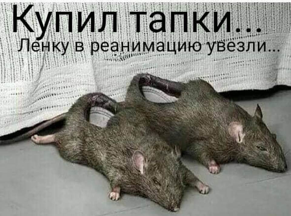 http://upforme.ru/uploads/0010/89/6b/191/38411.jpg