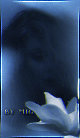 http://upforme.ru/uploads/0010/a4/99/35/871539.gif