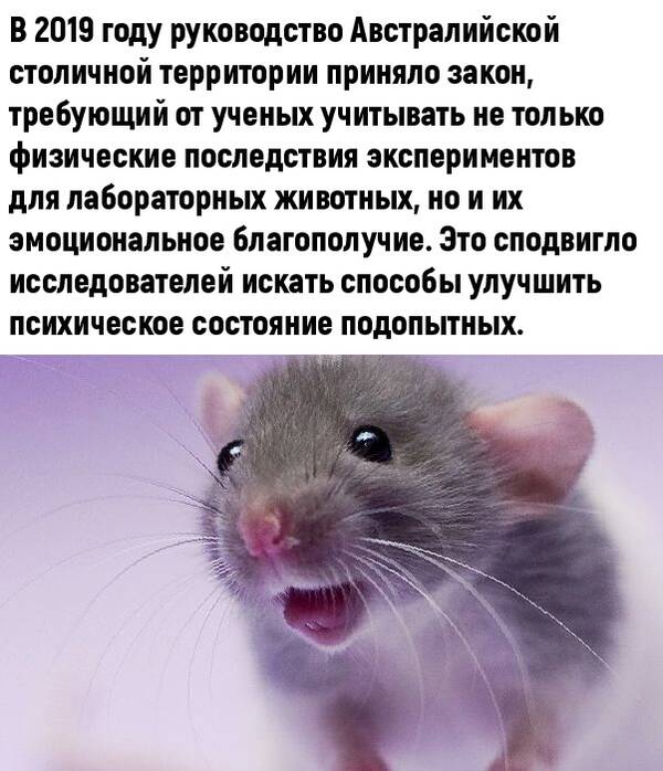 http://upforme.ru/uploads/0010/b8/af/2/t122920.jpg