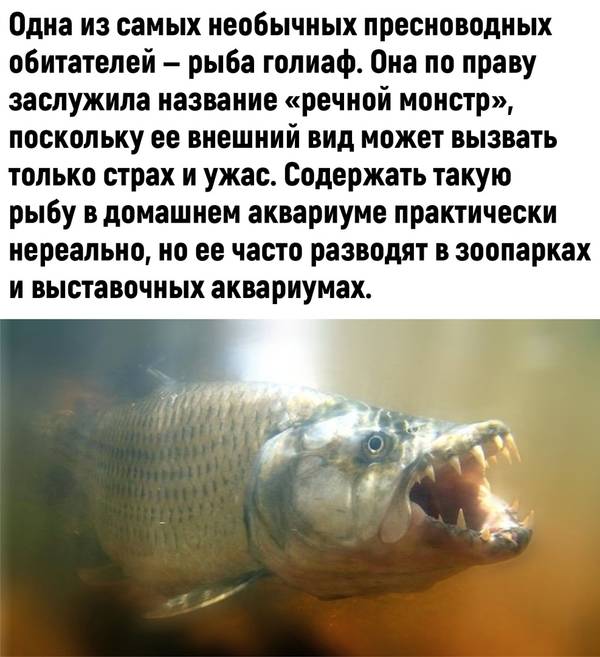 http://upforme.ru/uploads/0010/b8/af/2/t152404.jpg
