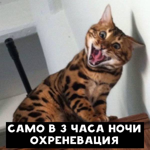 http://upforme.ru/uploads/0010/b8/af/2/t17462.jpg