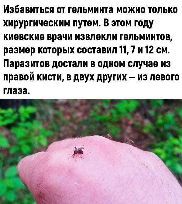 http://upforme.ru/uploads/0010/b8/af/2/t218412.jpg