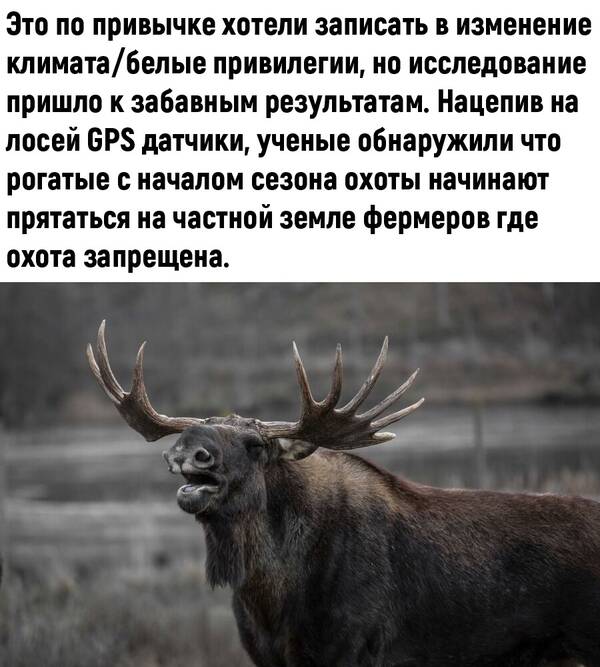 http://upforme.ru/uploads/0010/b8/af/2/t220282.jpg