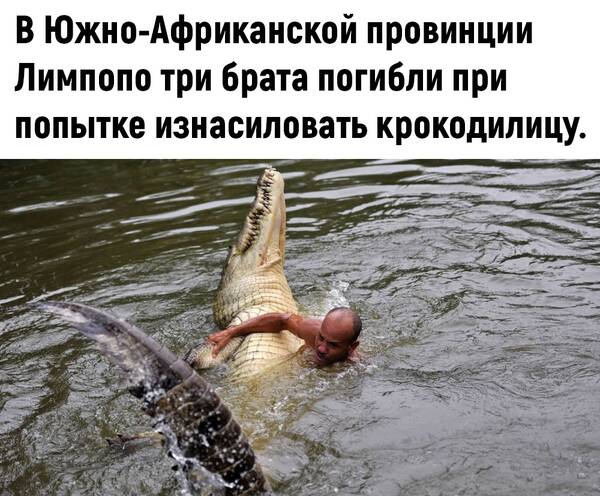 http://upforme.ru/uploads/0010/b8/af/2/t232442.jpg