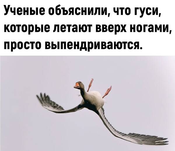 http://upforme.ru/uploads/0010/b8/af/2/t248850.jpg