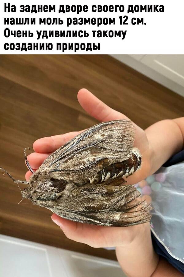 http://upforme.ru/uploads/0010/b8/af/2/t293291.jpg