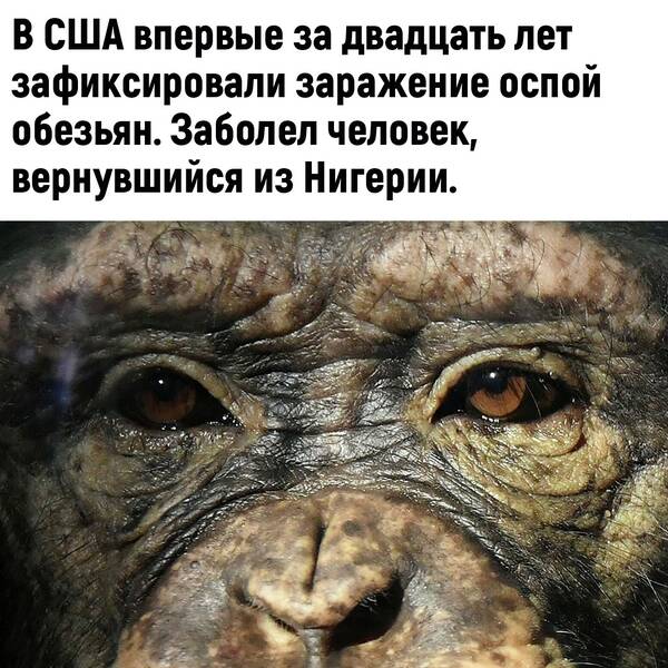 http://upforme.ru/uploads/0010/b8/af/2/t348003.jpg