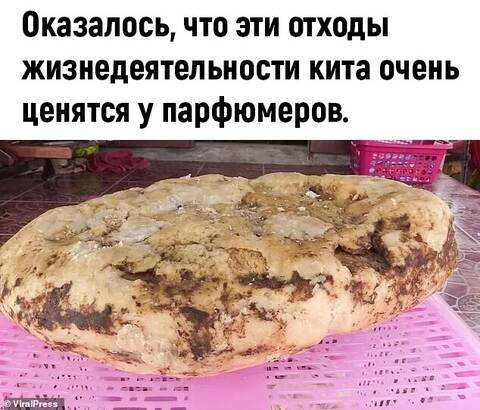 http://upforme.ru/uploads/0010/b8/af/2/t351099.jpg