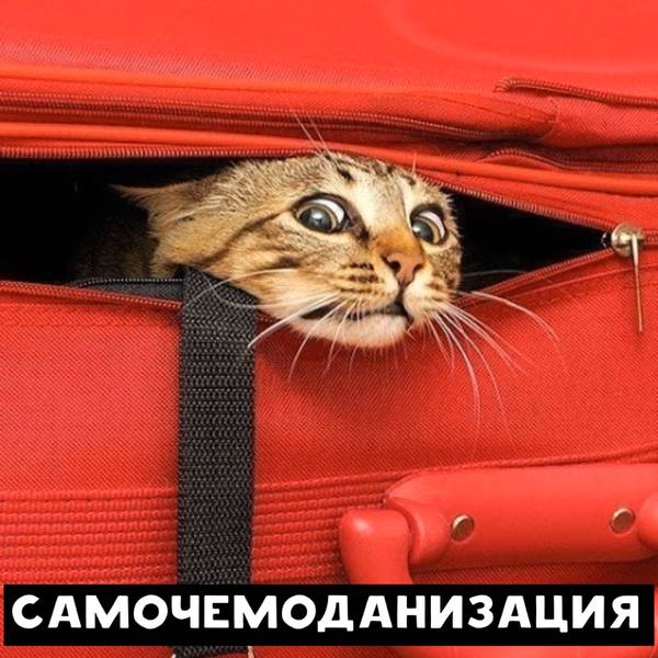 http://upforme.ru/uploads/0010/b8/af/2/t36196.jpg