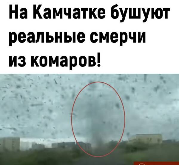 http://upforme.ru/uploads/0010/b8/af/2/t386517.jpg